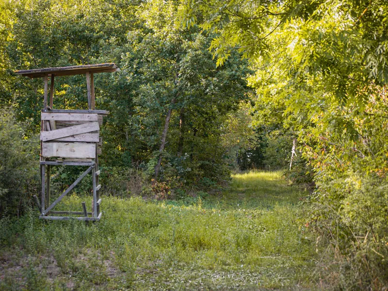 Cache camouflée (ground blind)